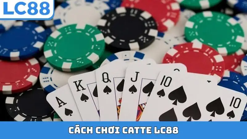 Cách chơi Catte LC88