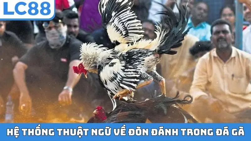 Hệ thống thuật ngữ về đòn đánh trong đá gà