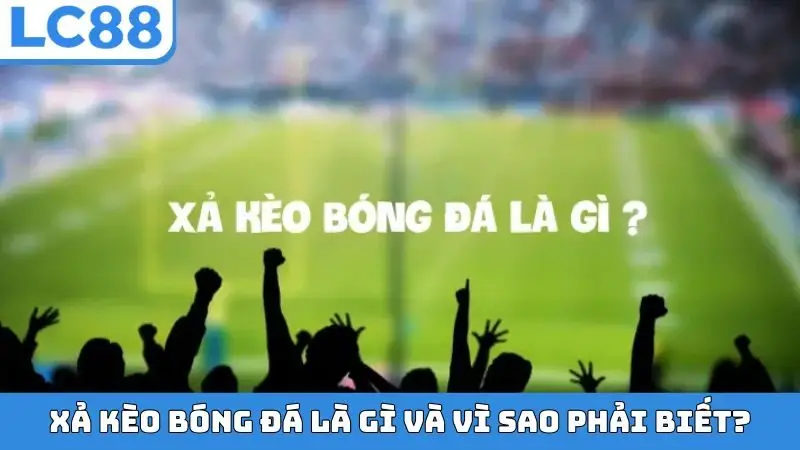 Xả kèo bóng đá là gì và vì sao phải biết?